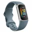 Fitbit Charge 5 Steel/Blue